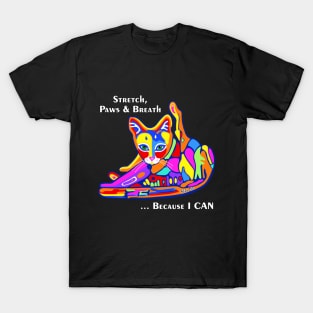 PicatsoCats Yoga Cat Dark T-Shirt